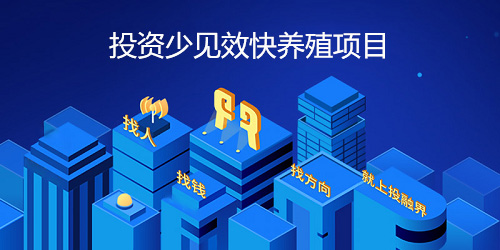 「合作少见效快养殖项目」有哪些？